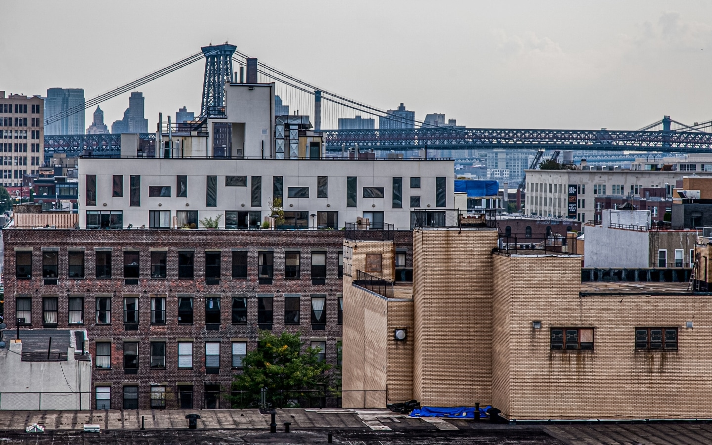 Williamsburg Neighborhoods in Brooklyn
